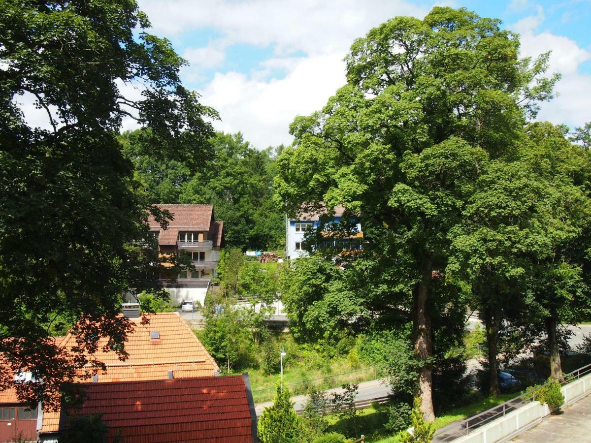 Apartment Harzgruen Sankt-Andreasberg Extérieur photo